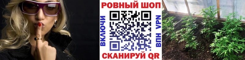 Где купить наркотики Дубовка Cocaine  СОЛЬ  Гашиш  АМФЕТАМИН  МЕФ  Марихуана 
