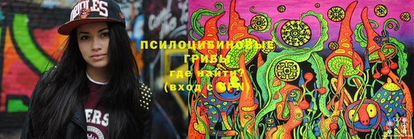 дживик Бежецк