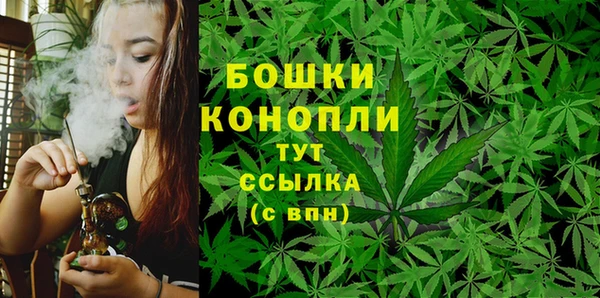 крисы Бабаево