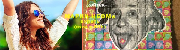 крисы Бабаево